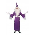 Disfraz Mago Morado Druida Adulto