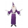 Disfraz Mago Morado Druida Adulto
