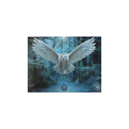 Puzzle Despierta tu Magia 500 pzs ref 17959