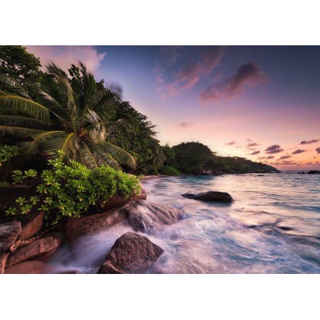 PUZZLE 1000 ISLA DE PRASLIN EN SEYCHELLES