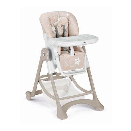 CAM SEGGIOLONE CAMPIONE 260