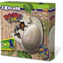 ECLOSION DE DINO DE HABA