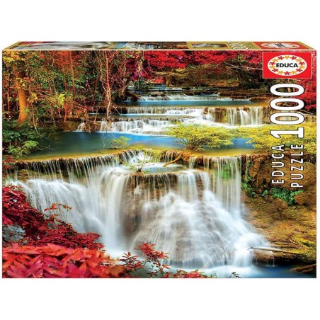 EDUCA 1000 CATARATA EN EL BOSQUE