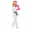 BARBIE KARATE OLIMPIADAS
