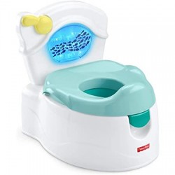 ORINAL SEE ME FLUSH POTTY