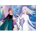 PUZZLE 104 FROZEN 2 JEWELS