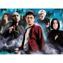 PUZZLE 1000 PZAS HARRY POTTER