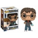 FUNKO POP HARRY POTTER PROPHECY