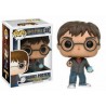FUNKO POP HARRY POTTER PROPHECY