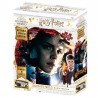 Puzzle Harry Potter Rascar Carteles Wanted 500 Piezas
