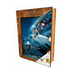 PUZZLE LIBRO LENT. HARRY POTTER Y RON