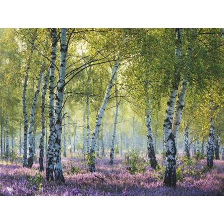 PUZZLE 1000 BOSQUE DE ABEDULES