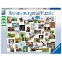 PUZZLE 1500 PZAS COLLAGE DE ANIMALES