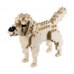 BRIXIES GOLDEN RETRIEVER