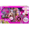 Barbie con Caballo y Poni