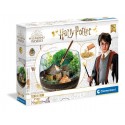 TERRARIUM HARRY POTTER