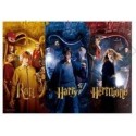 PUZZLE 1000 PZAS HARRY POTTER PERSONAJES