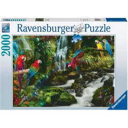 PUZZLE 2000 PZAS EL PARAISO DE LOS LOROS