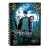 LIBRETA EFECTO 3D POSTER HARRY POTTER Y EL PRIS.