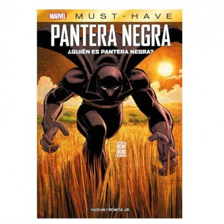 QUIEN ES PANTERA NEGRA 