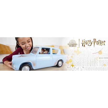 HARRY Y RON CON COCHE VOLADOR