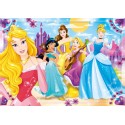 PUZZLE 30 PZAS PRINCESAS
