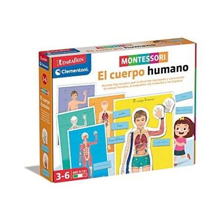 MONTESSORI EL CUERPO HUMANO