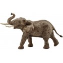 ELEFANTE AFRICANO MACHO SCHLEICH