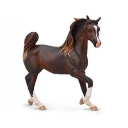 YEGUA ARABE CASTAÑO COLLECTA