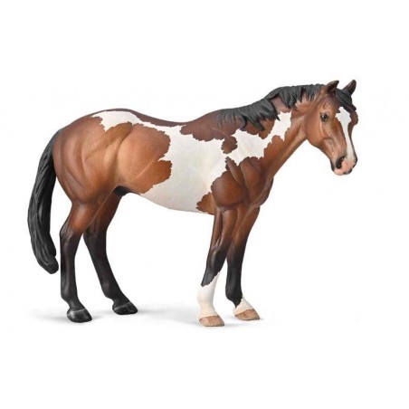 SEMENTAL APPALOOSA BAY OVERO PINTURA