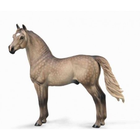 SEMENTAL MORGAN GRIS GRULLA DE COLLECTA