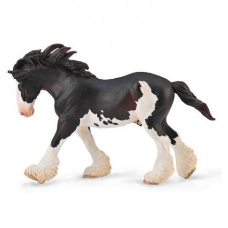 SEMENTAL XL CLYDESDALE NEGRO SABINO 