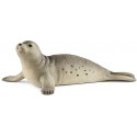 FOCA SCHLEICH