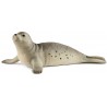 FOCA SCHLEICH