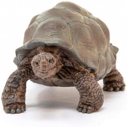 TORTUGA GIGANTE SCHLEICH