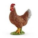 GALLINA SCHLEICH 