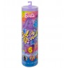 BARBIE COLOR REVEAL GALAXIA ARCOIRIS