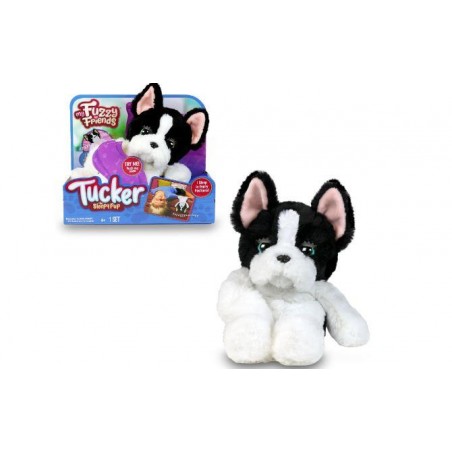 FAMOSA TUCKER EL PERRO DORMILON