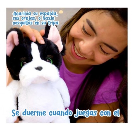 FAMOSA TUCKER EL PERRO DORMILON