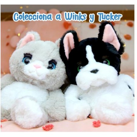 FAMOSA TUCKER EL PERRO DORMILON